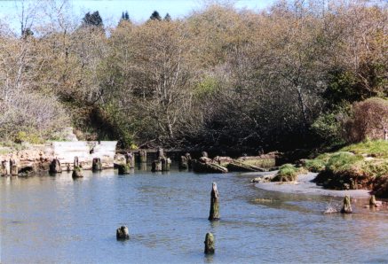 remains of the old mill in Caspar Creek