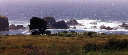 Our Sacred Headlands by Heidi Kraut - 15557 Bytes