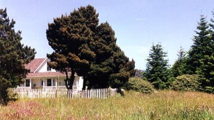 Housefield2.jpg - 27648 Bytes