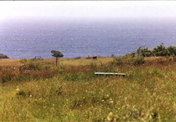 SeaBathtub.jpg - 23484 Bytes