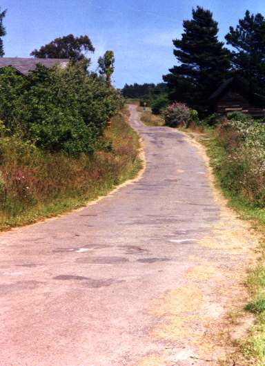 WindyRoad.jpg - 33005 Bytes