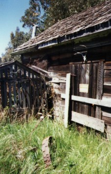 AntlerCabin.jpg - 38911 Bytes