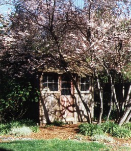 LittleCabin.jpg - 46146 Bytes