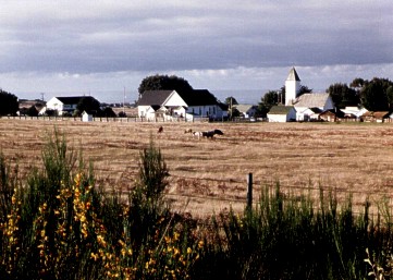 Caspar from Highway One by Sunshine Taylor - 39334 Bytes