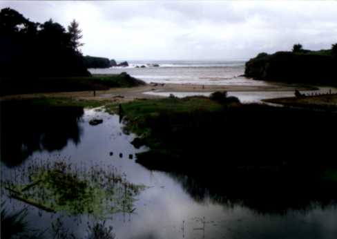 Lagoon and Caspar Beach - 12136 Bytes