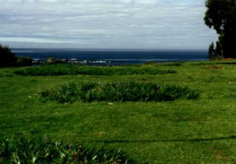 Cow pasture on the headlands - 17608 Bytes