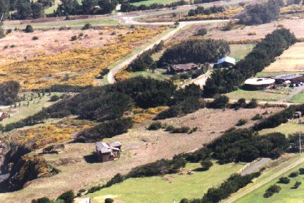 Caspar Homes on the Gorse Frontier
