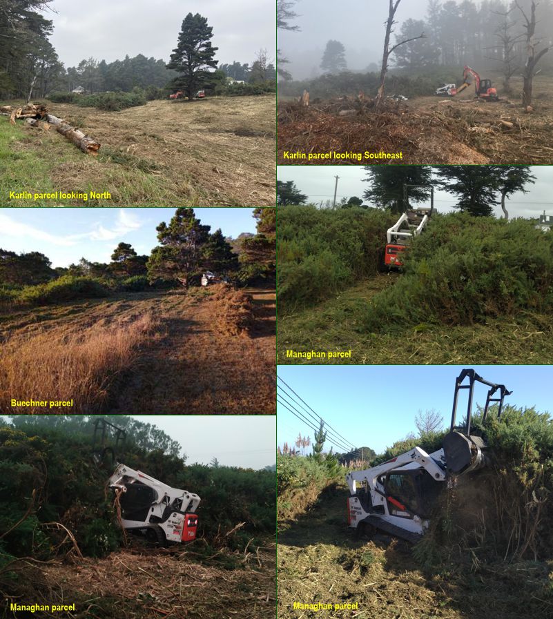 Project parcel images