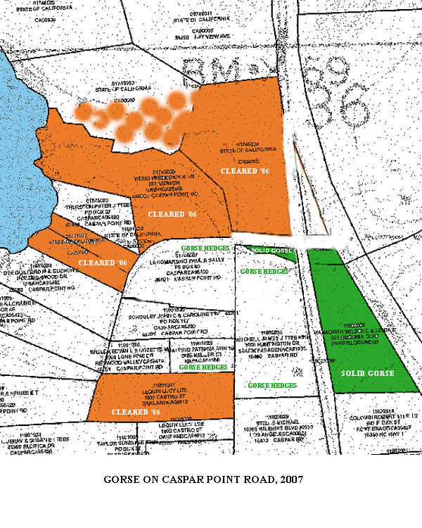 map of gorse along Caspar Point Road in 2007