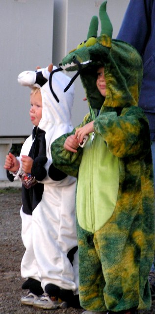 Cow and Dragon