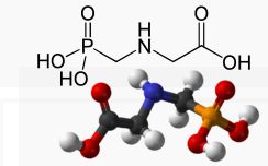 glyphosate