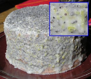 Rochelle's Birthday Cake 2004