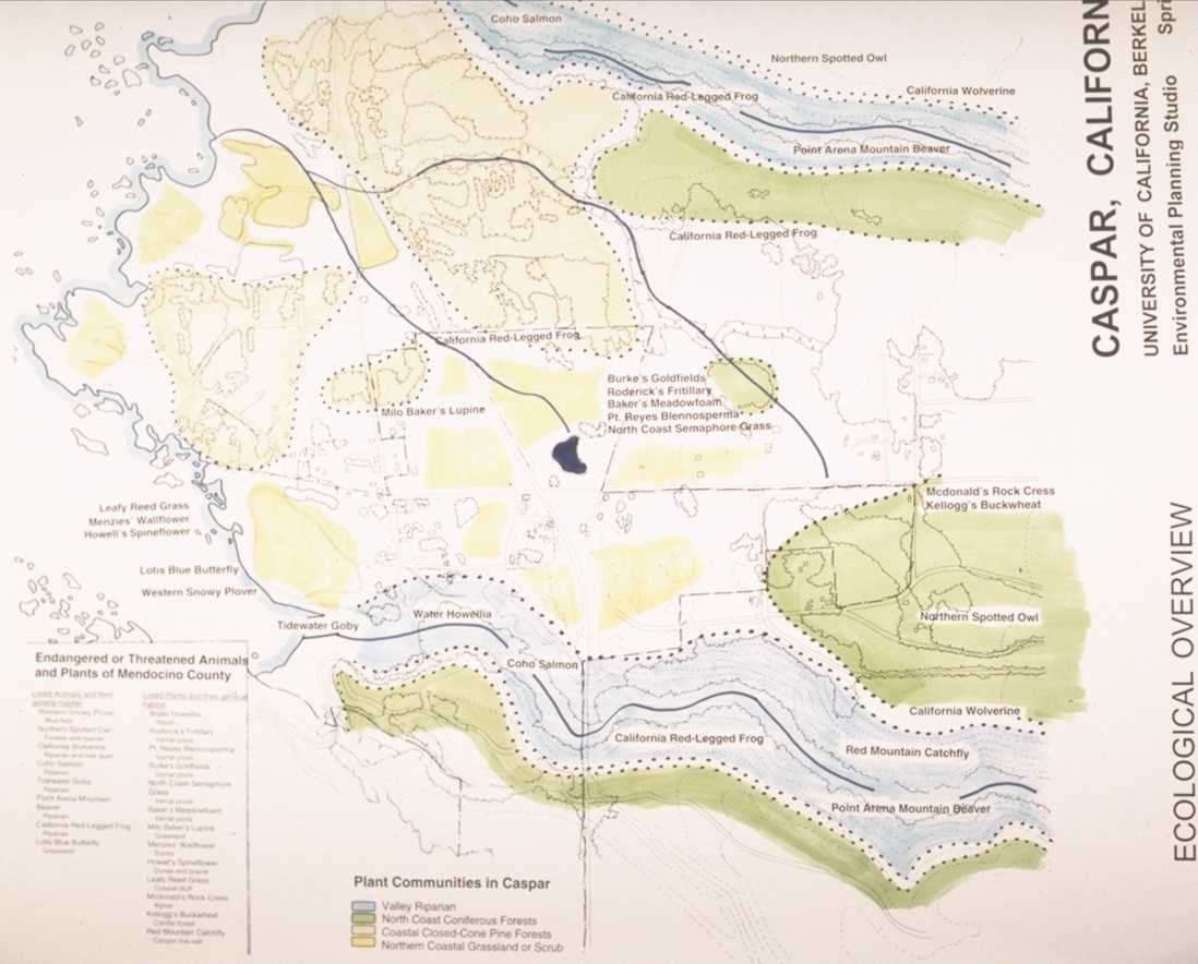EcologicalOverview.jpg - 80979 Bytes