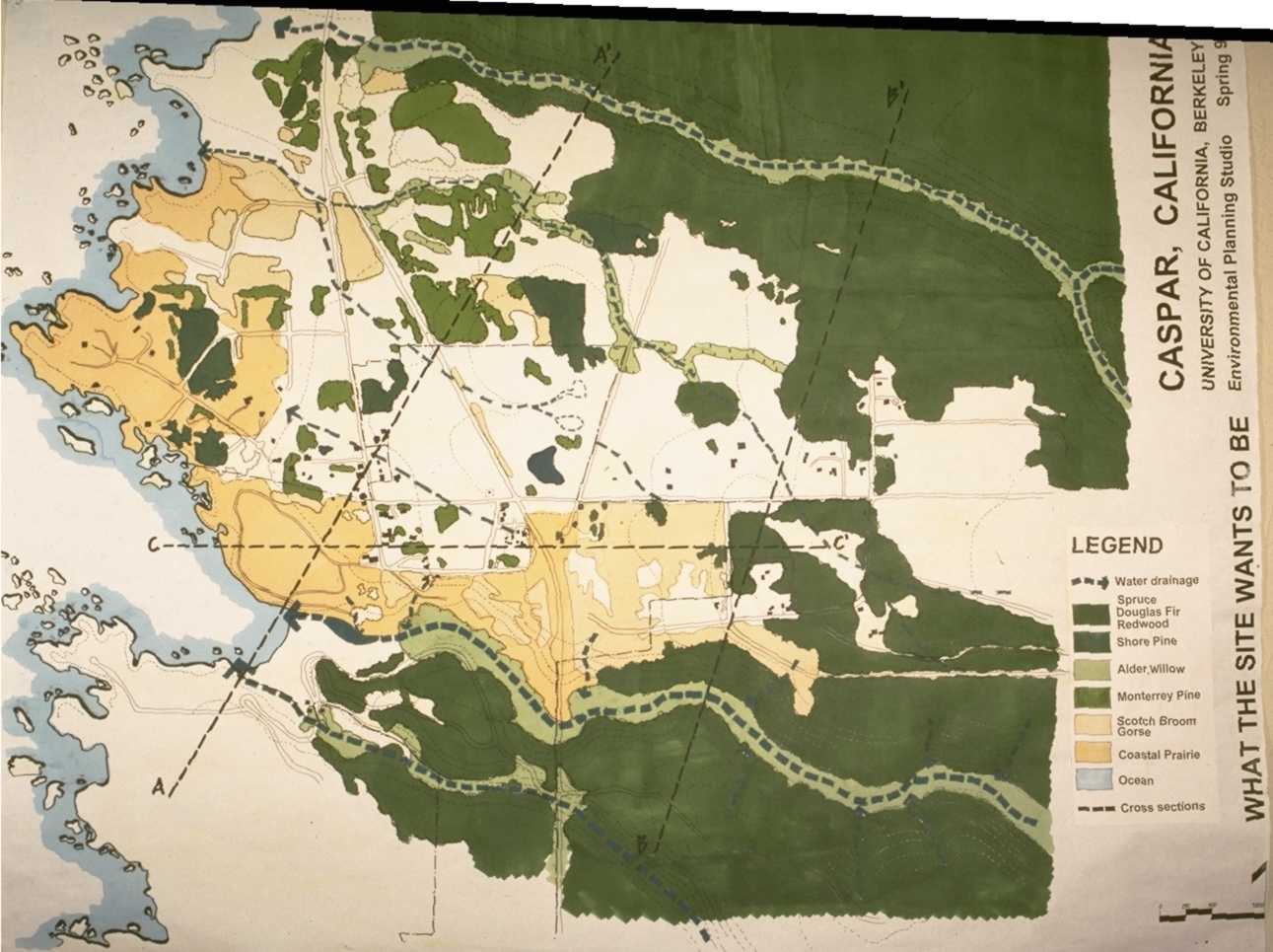 SiteWantsToBe.jpg - 116617 Bytes