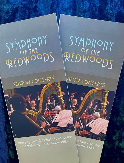 Two Symphony Season Tickets