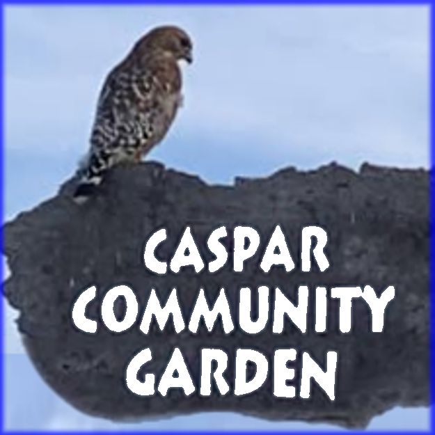 Community Garden