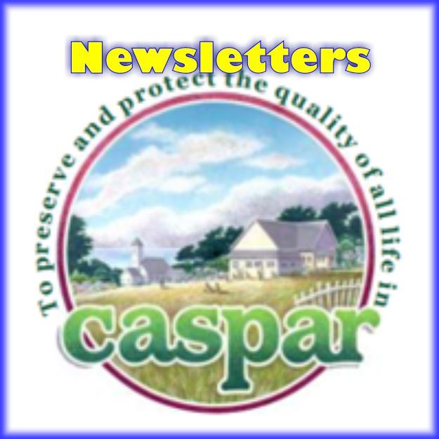 Newsletters and Press